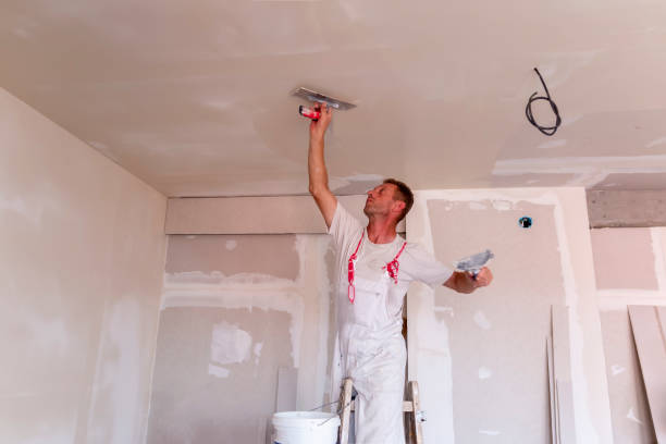 Best Ceiling Drywall Installation  in Atlanta, TX